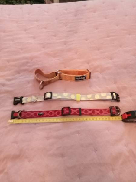 3 pienen koiran heijastavaa kaulapantaa. Rukka ja Basic Tampere - photo 3