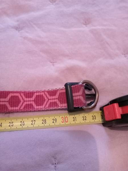 3 pienen koiran heijastavaa kaulapantaa. Rukka ja Basic Tampere - photo 2