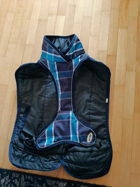 Koiran Talvitakki Йоэнсуу - изображение 2