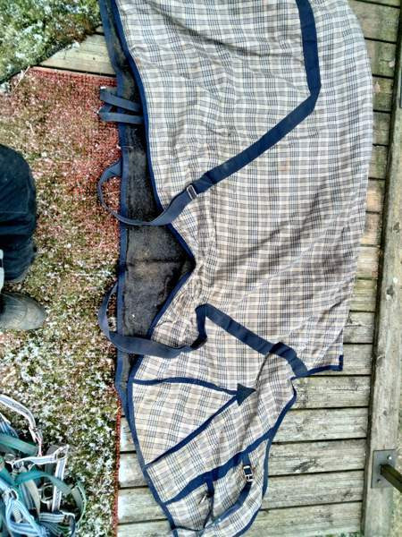 Kangas loimi Raasepori - valokuva 1