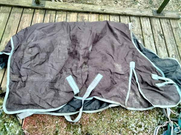 Loimi Raasepori - photo 1