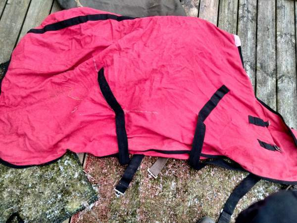 Villaloimi Raasepori – foto 1