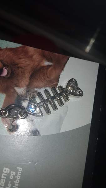 Lemikille Riipus Kalanruoto Espoo - valokuva 2