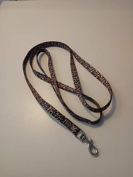 Talutushihna Seinäjoki - valokuva 2