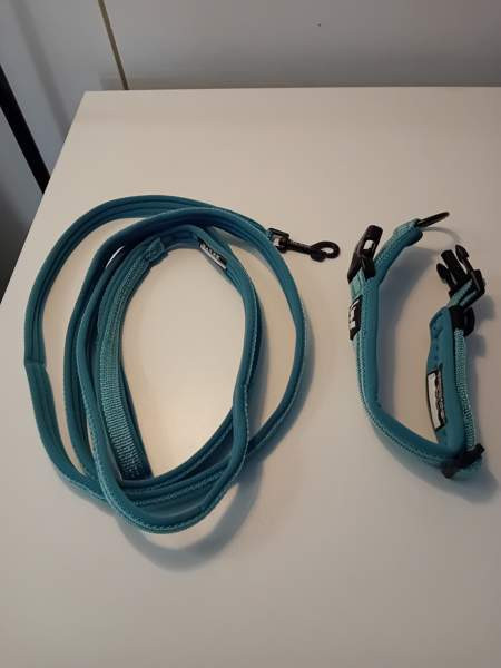 Kissan kaulapanta ja hihna Сейняйоки - изображение 2