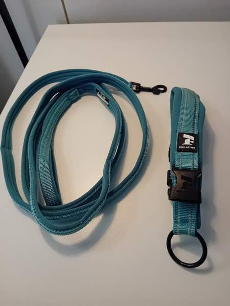 Kissan kaulapanta ja hihna Сейняйоки - изображение 1