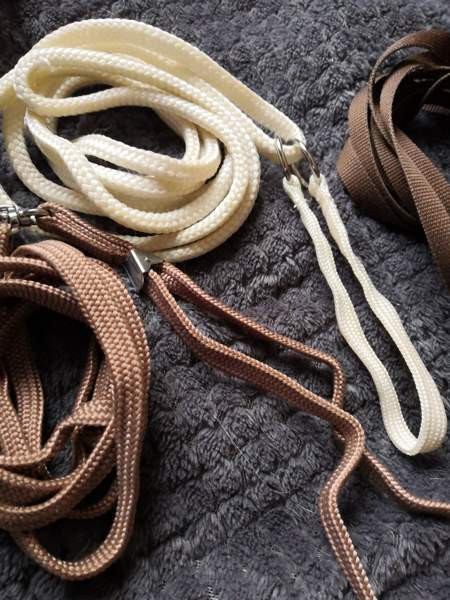 Näyttelyhihnat Pöytyä - valokuva 2