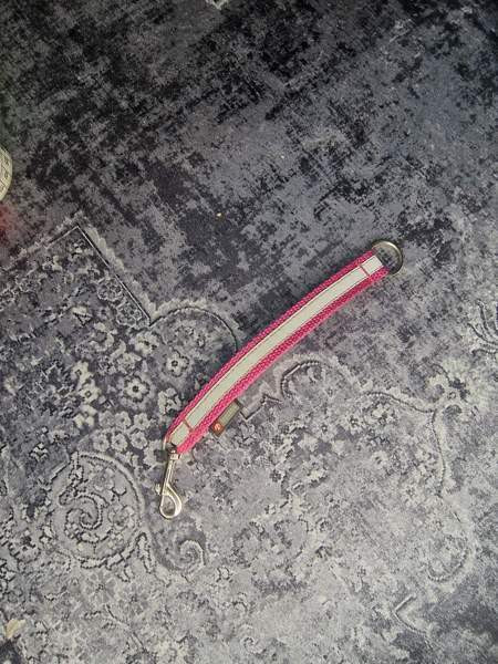 Topcanis jakaja heijastimella Kemijärvi - photo 1