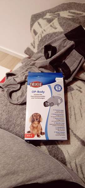 Koiran tai kissan haavapuku Porvoo - photo 1