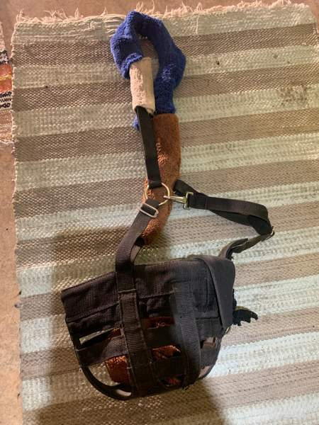 Syönninrajoitin / kuonokoppa Jyvaeskylae - photo 2