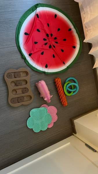 Koiratarvikkeita (pentu) Oulu - photo 1