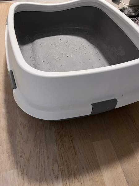 Kissanvessa xxl Helsinki - photo 2