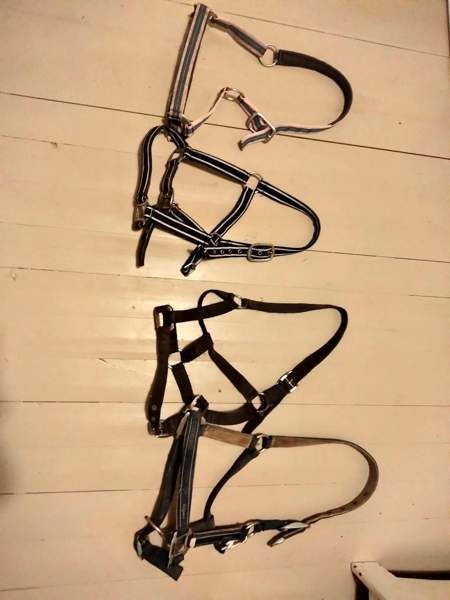 Riimut Raasepori - valokuva 1