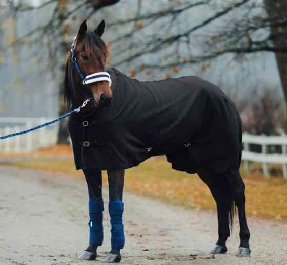 Uusi finntackin fleeceloimi koko 155cm Jämsä
