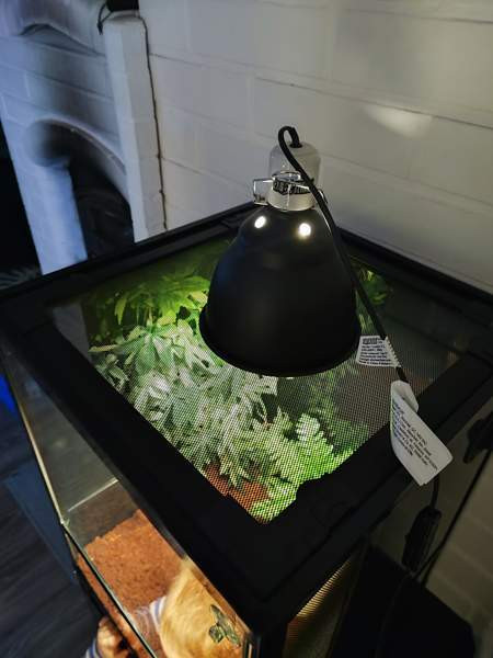 Terraario etuovella 45x45x60 Sievi - photo 4