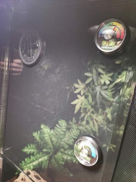 Terraario etuovella 45x45x60 Sievi - photo 5