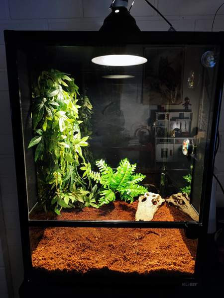 Terraario etuovella 45x45x60 Sievi - photo 1