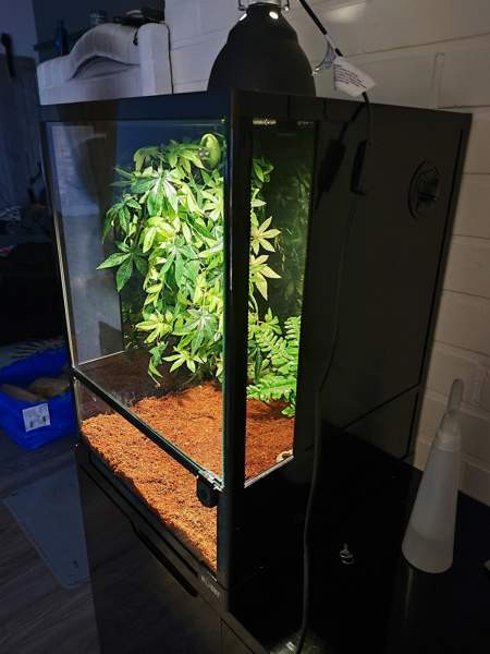 Terraario etuovella 45x45x60 Sievi - photo 2