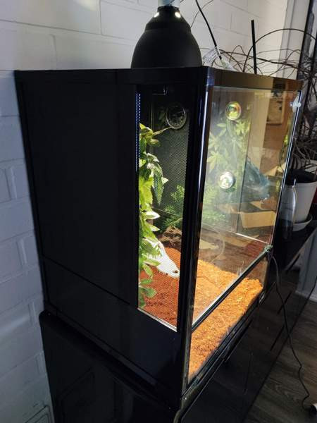 Terraario etuovella 45x45x60 Sievi - photo 3