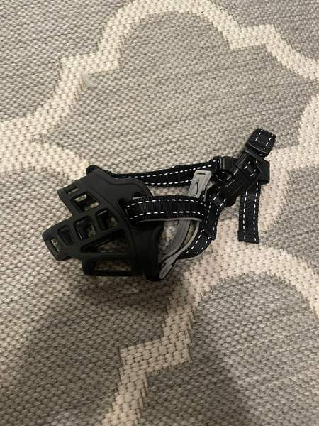 Pienen koiran kuonokoppa Pori - photo 1