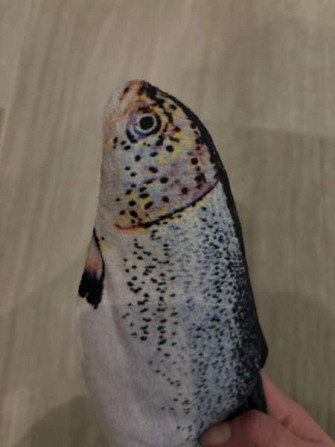 Sätkivä kala Akaa - valokuva 5