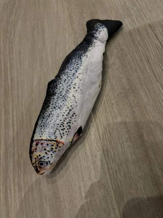 Sätkivä kala Akaa - valokuva 1