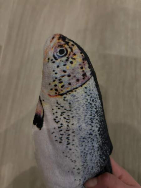 Sätkivä kala Akaa - изображение 5