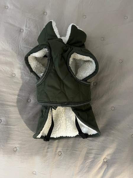 Koiran talvitakki Турку - изображение 3