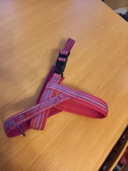 Pienen koiran valjaat Hurtta Suonenjoki - valokuva 1