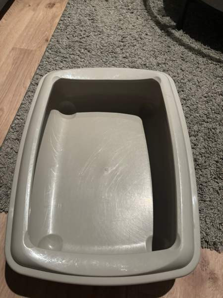 Kissanvessa Rovaniemi - valokuva 1