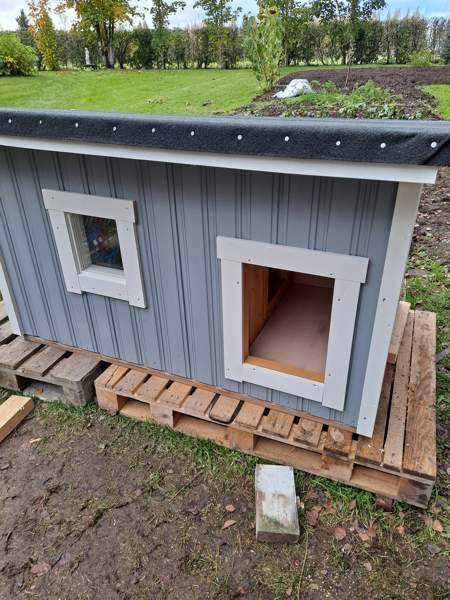 Koirankoppi Ilmajoki – foto 1