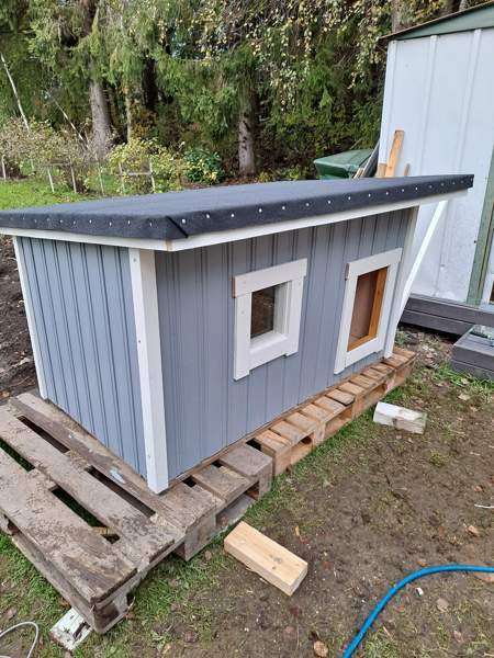 Koirankoppi Ilmajoki – foto 2