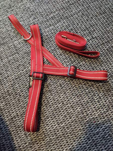 Myyntipuu kaiken kokoista koiratarviketta Ypäjä - photo 3