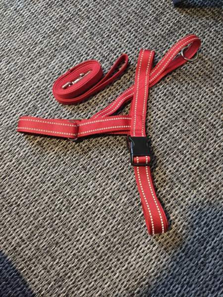 Myyntipuu kaiken kokoista koiratarviketta Ypäjä - photo 2