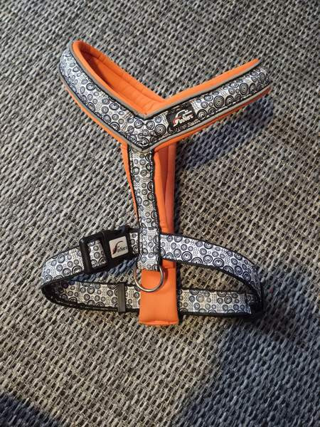 Myyntipuu kaiken kokoista koiratarviketta Ypäjä - photo 4