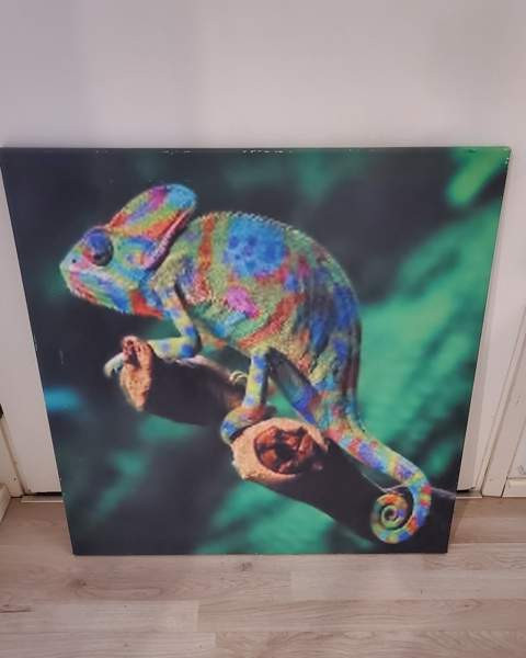 Kameleontti canvastaulu 70x70 Helsinki - изображение 1