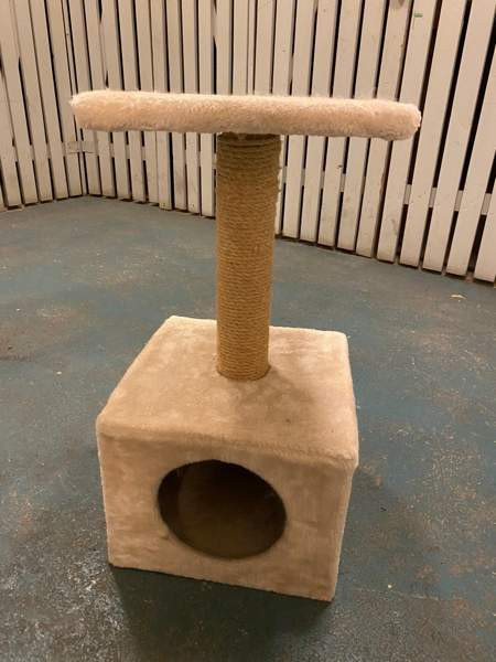 Raapimispuu Tampere - photo 1