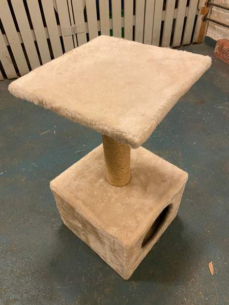 Raapimispuu Tampere - photo 2