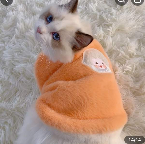 Lämmin liivi kissalle Йоэнсуу - изображение 2