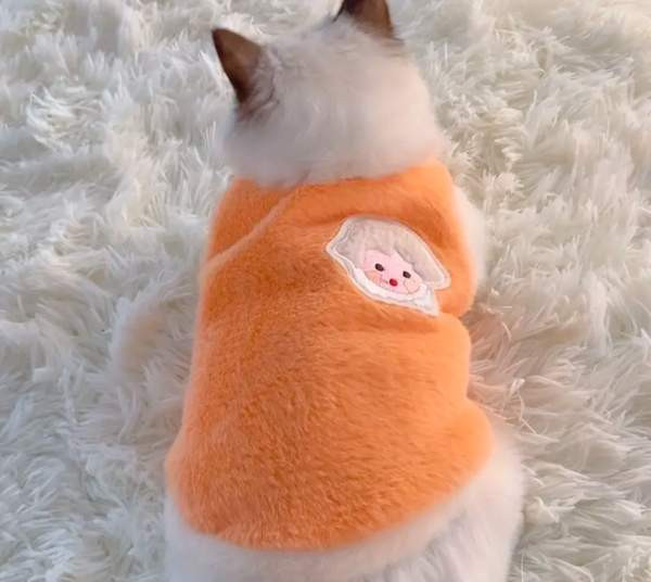 Lämmin liivi kissalle Йоэнсуу - изображение 1