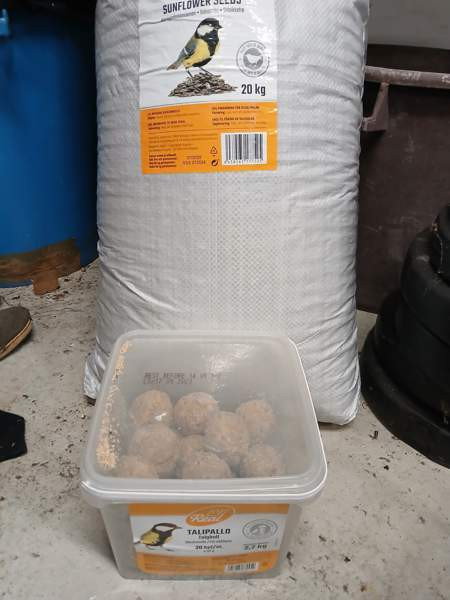 Aurigonkukan siemenet ja talipallot Pirkkala - изображение 1