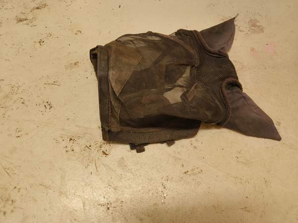 Kärpäshuppu. FULL Maalahti - valokuva 1