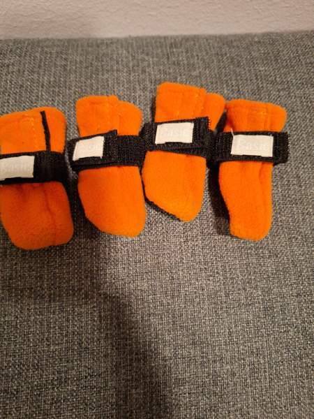 Pienen koiran tossut xs Kuopio - photo 1