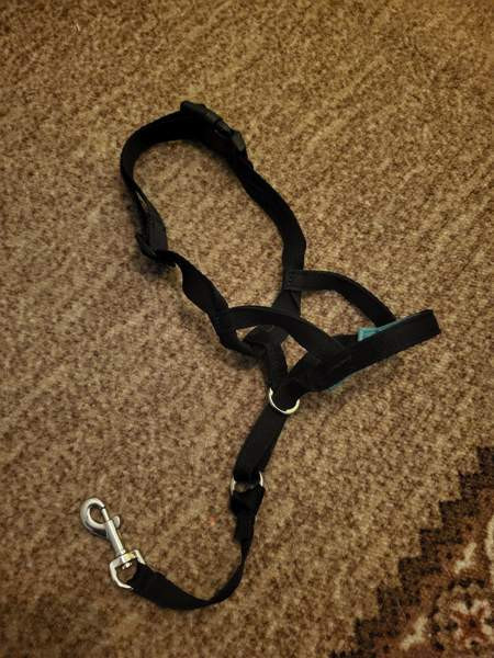 Pro Dog kuonopanta koko 2 Nokia - photo 1