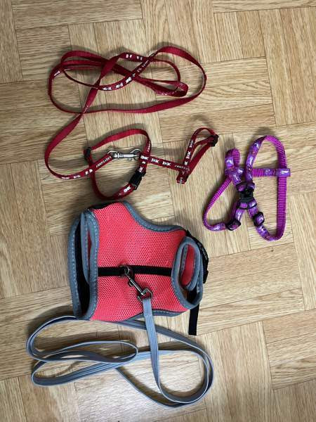 Kanin valjaat Котка - изображение 1