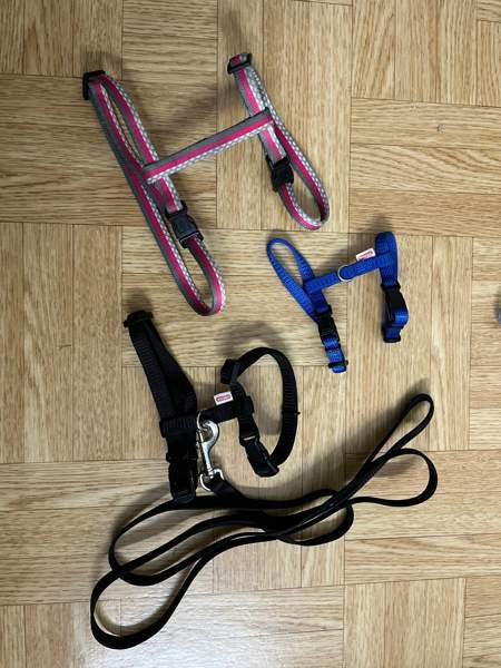 Kanin valjaat Котка - изображение 1