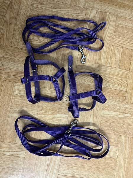 Kanin valjaat Котка - изображение 1