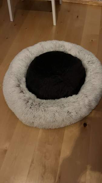 Koiran peti Seinaejoki - photo 2