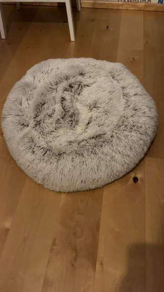 Koiran peti Seinaejoki - photo 1