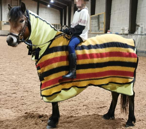 Eskadron villaloimi 125cm Ярвенпяя - изображение 2